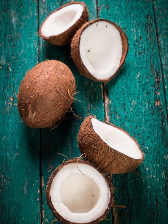 Coconut