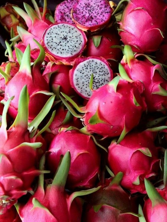 Dragon Fruit